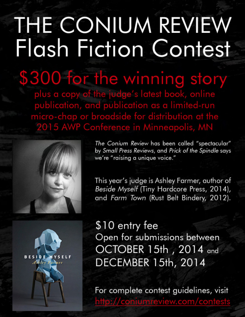 Flash Contest Flyer (2014)
